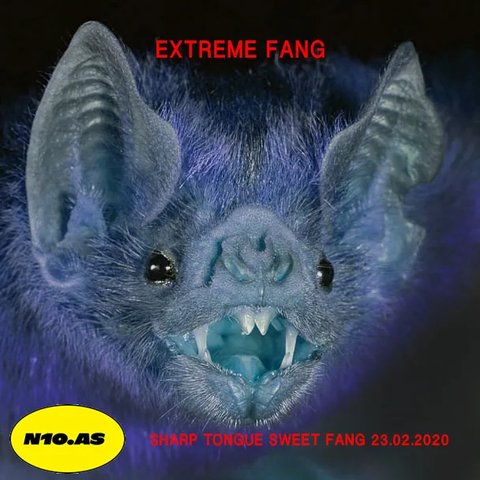 Welcome to Extreme Fang.