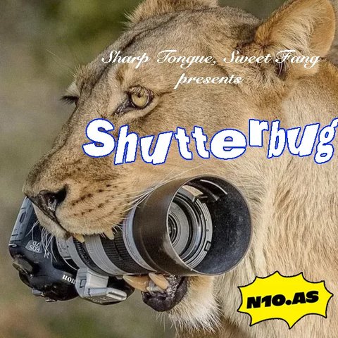 Shutterbug: Songs about Photography, Cameras & Memories... I love my job!!!!!!